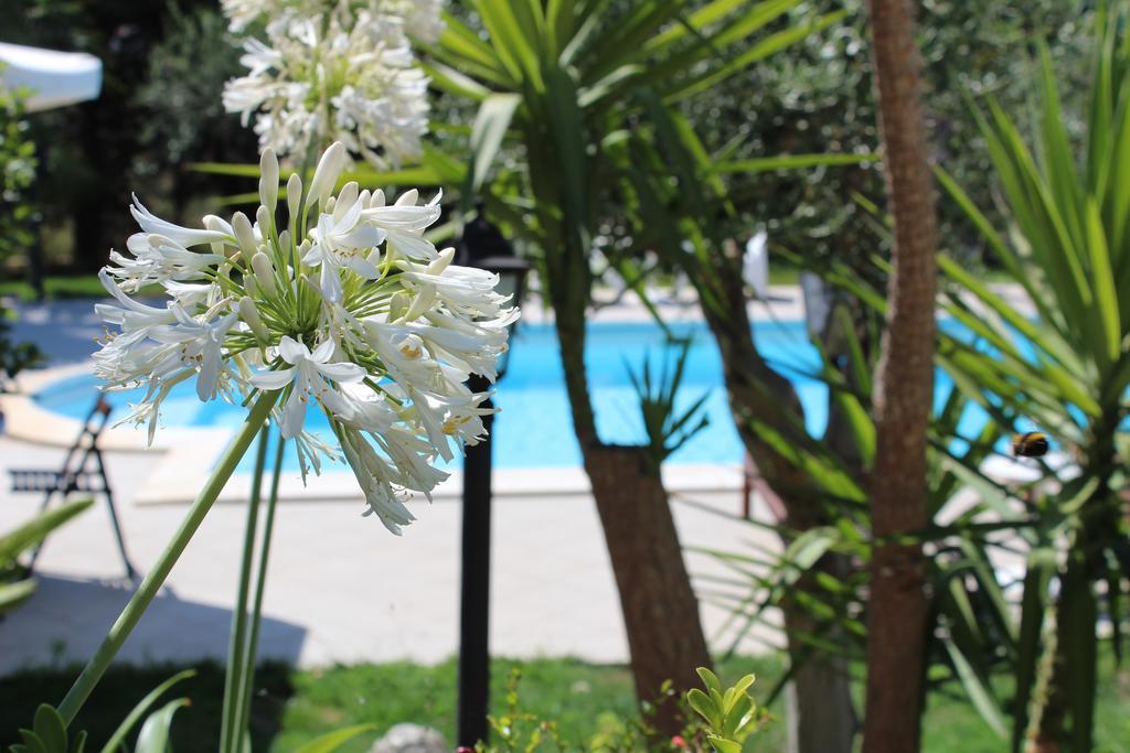 Villa Orchidea Luxury B&B Ispica Εξωτερικό φωτογραφία